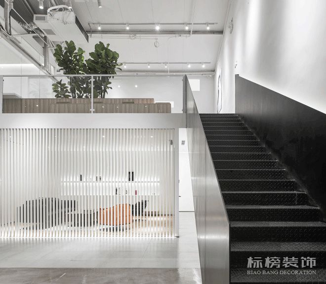 办公室植物摆放植物有哪些，怎么摆放比较好？